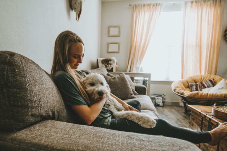 Pets and divorce - who keeps the family pet?