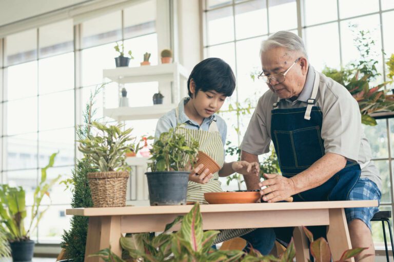 Grandparent's Rights - Stowe Family Law