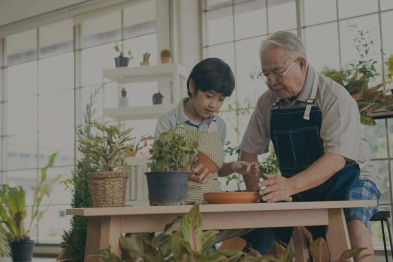 Grandparent's Rights - Stowe Family Law